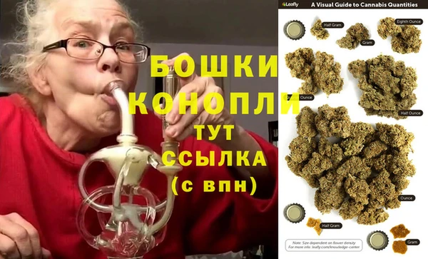 бошки Богданович