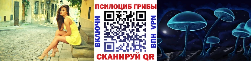 Псилоцибиновые грибы Psilocybe Микунь